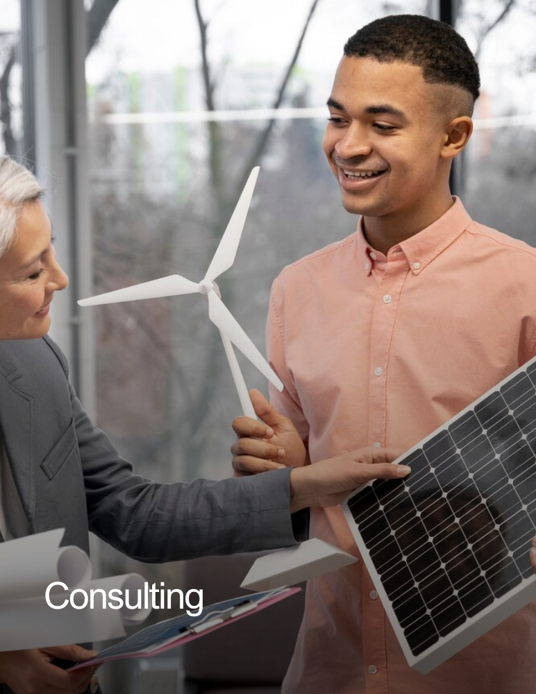 consulting