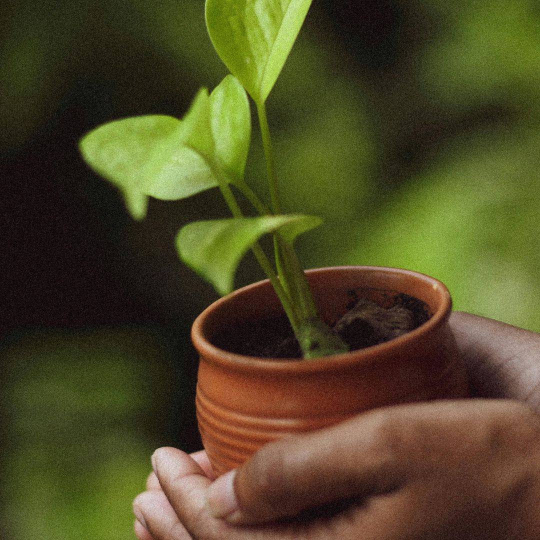 nova urja sustainability